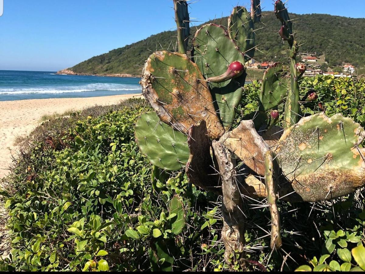 Cantinho Do Paraiso Gamboa  Eksteriør billede